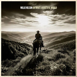 The Fly Boy And The Kid Chords by Willie Nelson