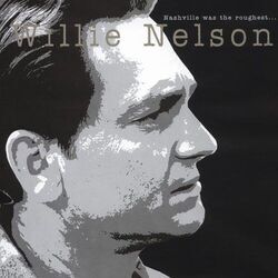 When I Don't Have You Chords by Willie Nelson