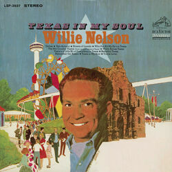 Who Put All My Exs In Texas Chords by Willie Nelson
