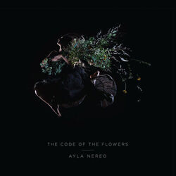 Look At The River Chords by Ayla Nereo