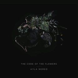 Seeds Chords by Ayla Nereo