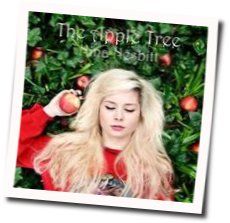 The Apple Tree  Chords by Nina Nesbitt