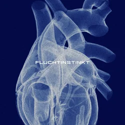 Fluchtinstinkt Chords by Ness