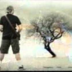 Pergilah Chords by Netral