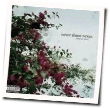 Losing It Chords by Nevershoutnever