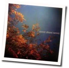 Simple Enough Tab by Nevershoutnever