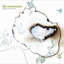 A Beautiful Mistake Chords by The New Amsterdams