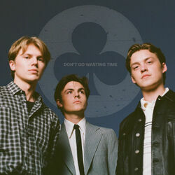 Don't Go Wasting Time Chords by New Hope Club
