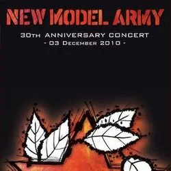 These Words Chords by New Model Army