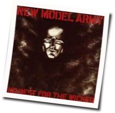 These Words Chords by New Model Army