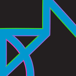 Singularity Bass Tab by New Order
