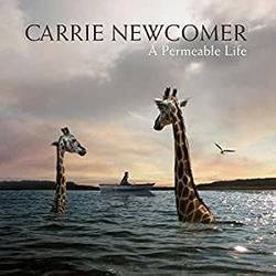 Every Little Bit Of It by Carrie Newcomer