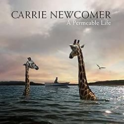 Every Little Bit Of It Chords by Carrie Newcomer
