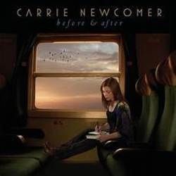 I Meant To Do My Work Today by Carrie Newcomer