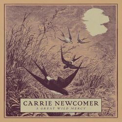 Singing In The Dark by Carrie Newcomer