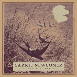 Singing In The Dark Chords by Carrie Newcomer
