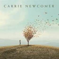 The Point Of Arrival by Carrie Newcomer