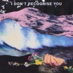 I Don't Recognise You Bass Tab by NewDad