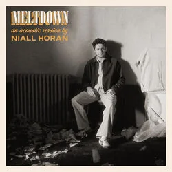 Meltdown Acoustic Intro Tab by Niall Horan