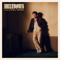 Meltdown Bass Tab by Niall Horan