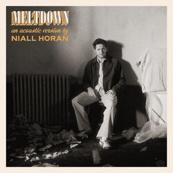 Meltdown Acoustic by Niall Horan