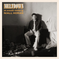 Meltdown Acoustic Intro by Niall Horan