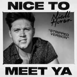 Nice To Meet Ya Ukulele Chords by Niall Horan