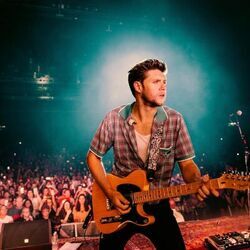 The Show Bass Tab by Niall Horan