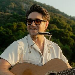 You Could Start A Cult Encore Version Chords by Niall Horan
