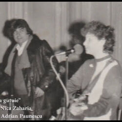 Galbena Gutuie Chords by Nica Zaharia