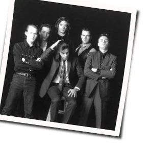 Henry Lee Acoustic Chords by Nick Cave & The Bad Seeds