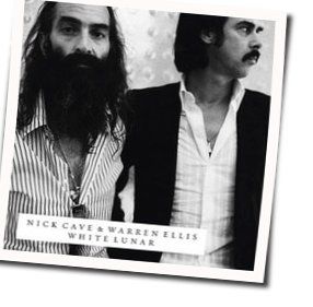 The Rider Song Chords by Nick Cave And Warren Ellis