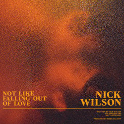 Not Like Falling Out Of Love by Nick Wilson