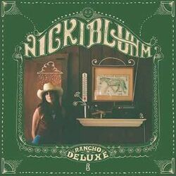 Nicki Bluhm chords for Falling out of dreams