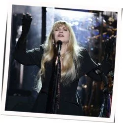 Sable On Blond Chords by Stevie Nicks