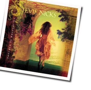 Fall From Grace by Stevie Nicks