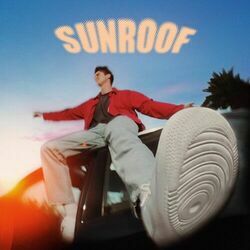 Sunroof Ukulele Chords by Nicky Youre