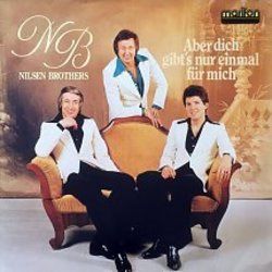 Aber Dich Gibts Nur Einmal Für Mich Chords by Nielsen Brothers