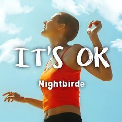 It's Ok Chords by Nightbirde