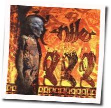 Stones Of Sorrow Tabs by Nile