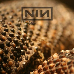Reptile by Nine Inch Nails