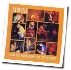 Hairspary Queen Tab by Nirvana