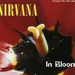 In Bloom (Ver2) Chords by Nirvana