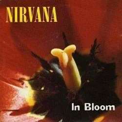 In Bloom Bass Tab by Nirvana