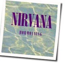Son Of A Gun (Ver2) Chords by Nirvana