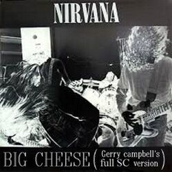 Big Cheese Bass tabs by Nirvana