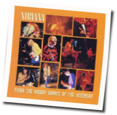 Hairspary Queen Tabs by Nirvana