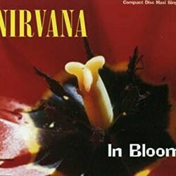 In Bloom  by Nirvana