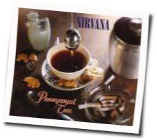 Pennyroyal Tea  by Nirvana