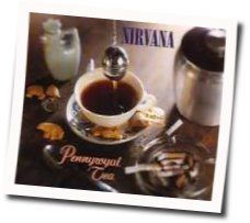 Pennyroyal Tea  Chords by Nirvana